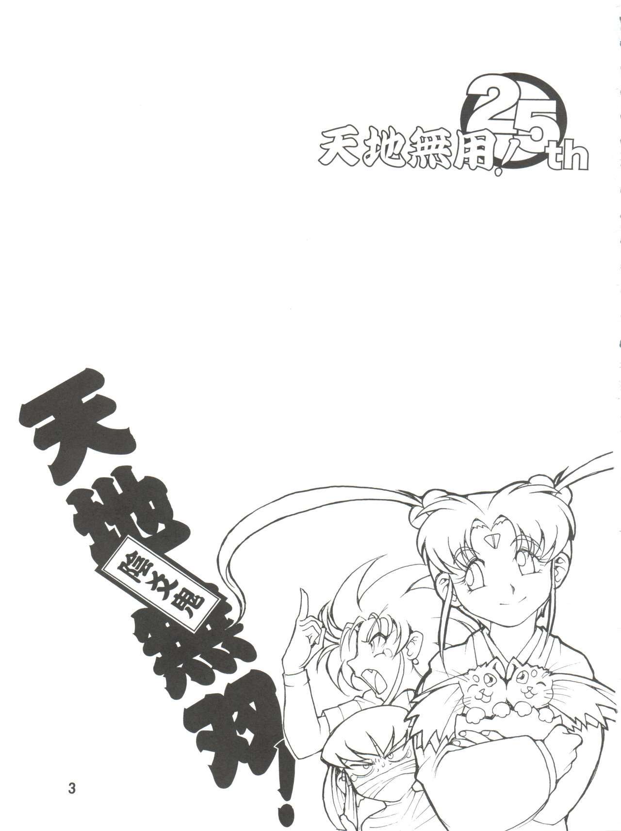 天地無双！インコウキ