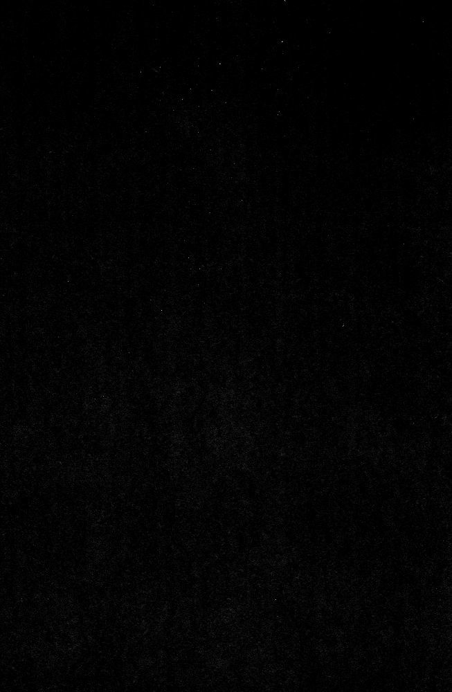 エロスとカツ丼