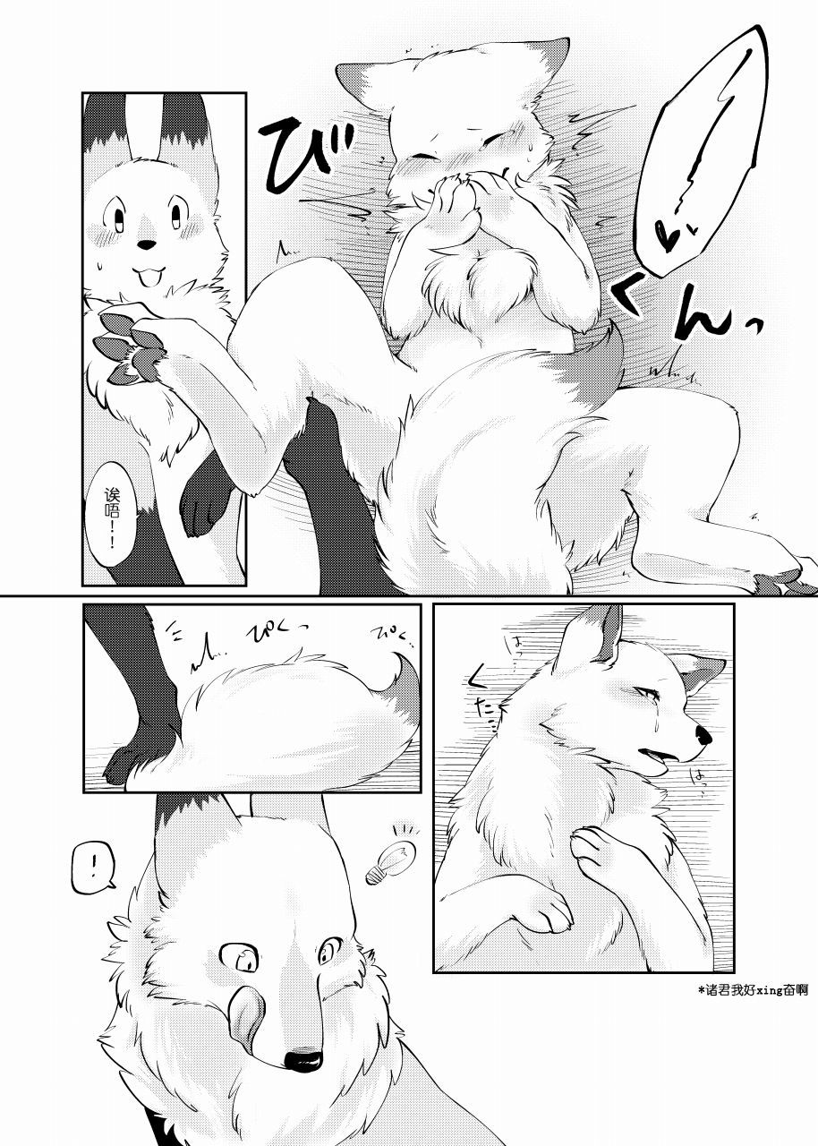 犬の原をもむキツネ|犬之腹上狐之爪