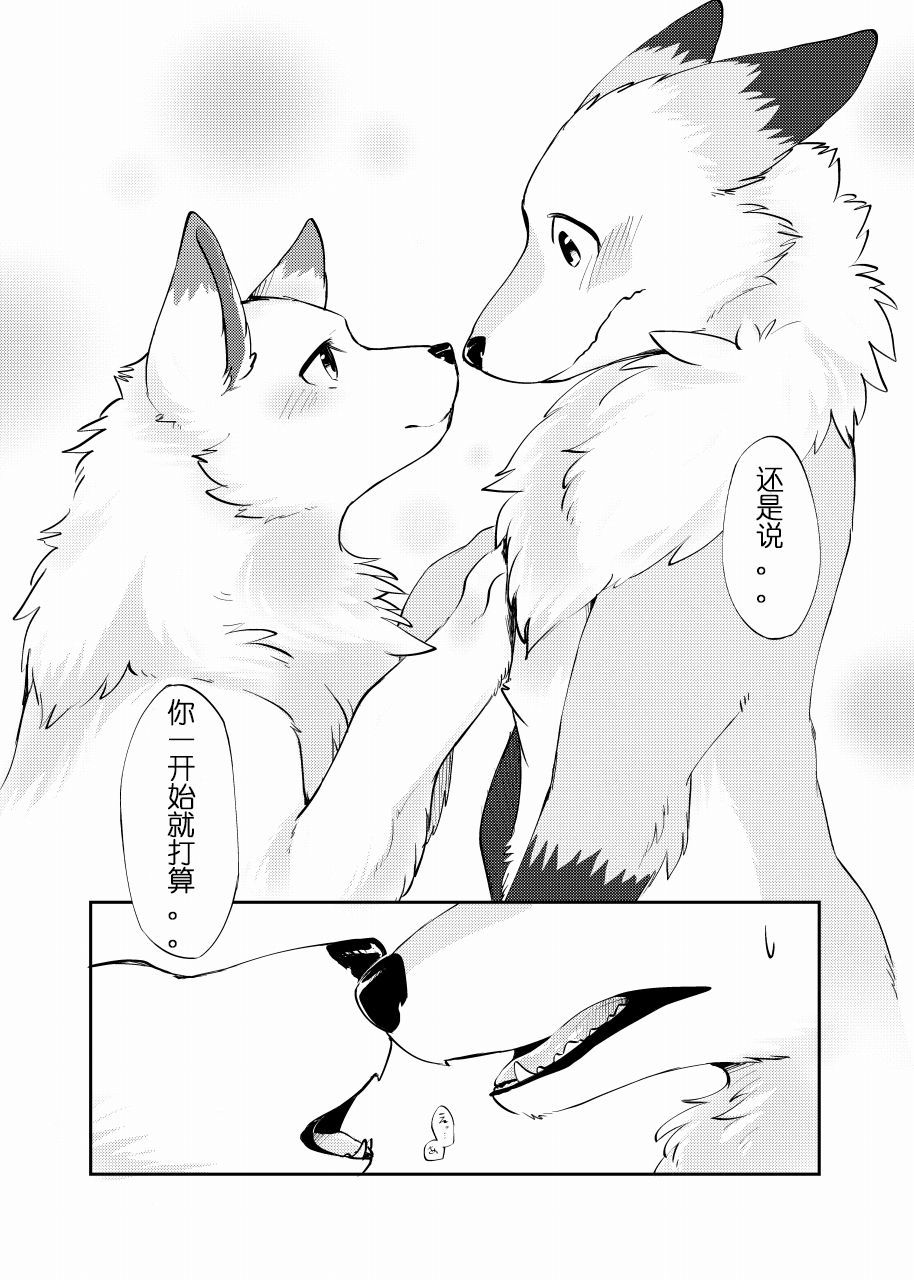 犬の原をもむキツネ|犬之腹上狐之爪