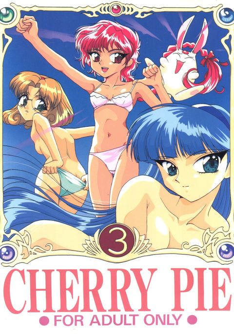 チェリーパイ3 チェリーパイ3