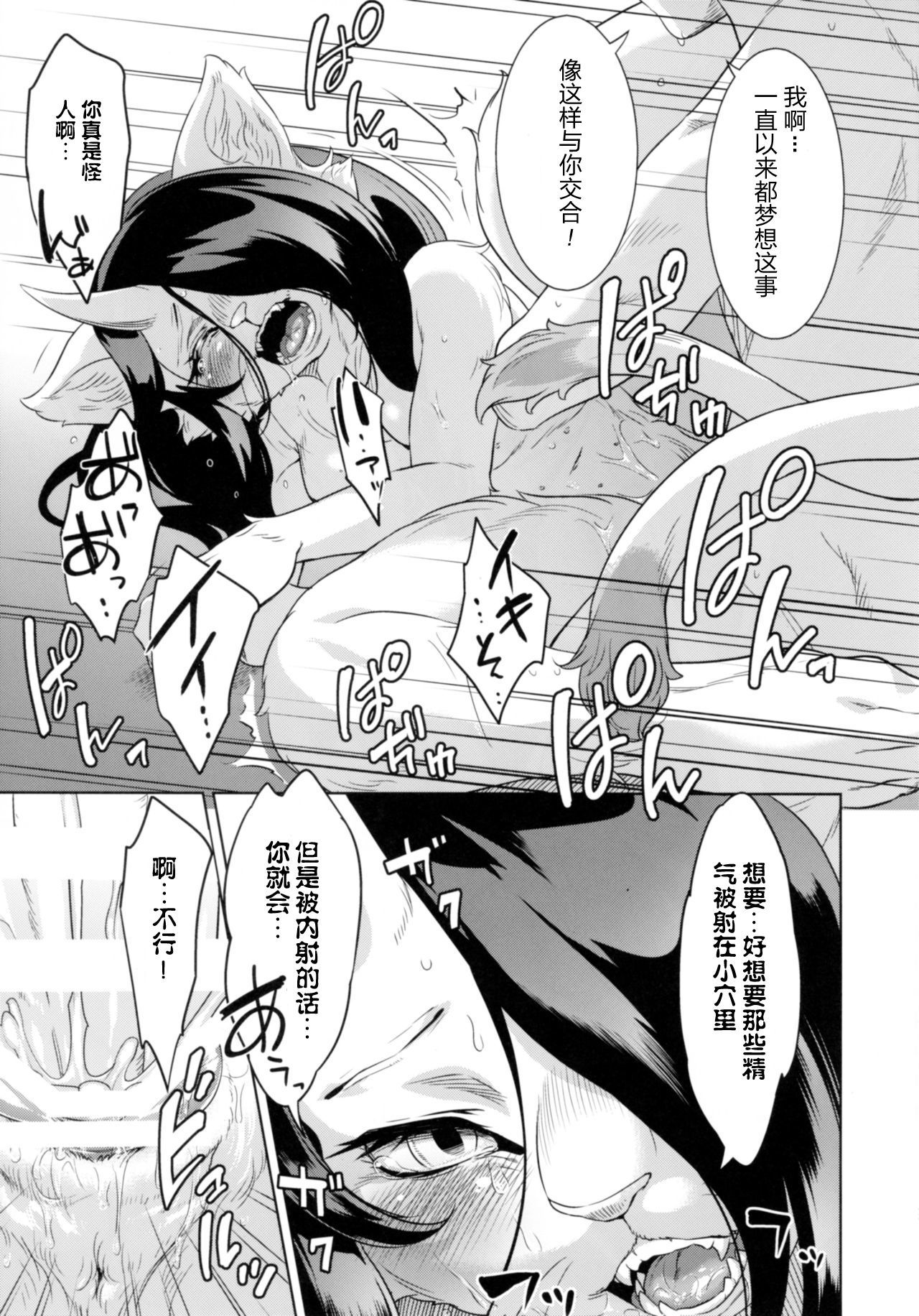猫が鬼タリテ