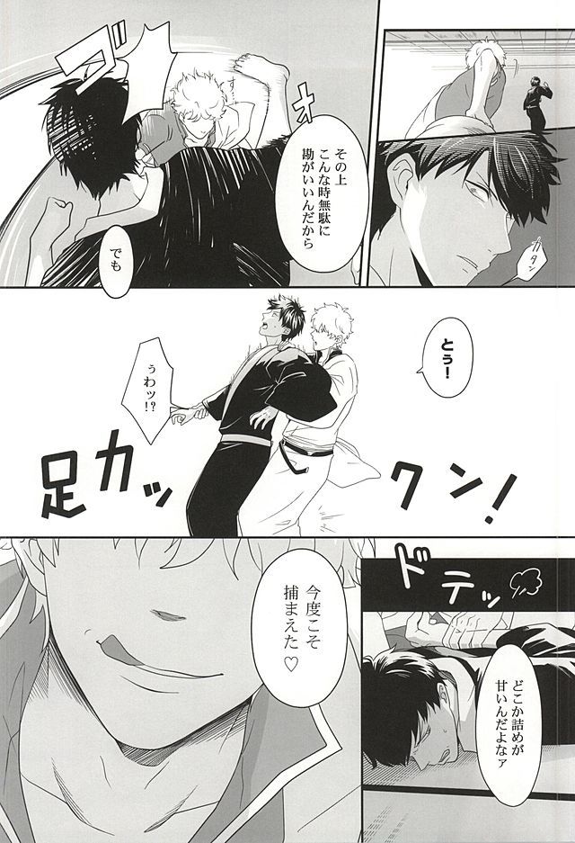 犬がアルケバてんぱにあたる