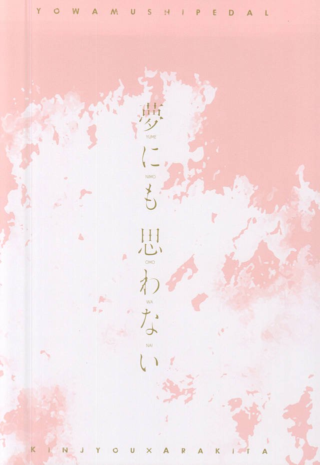 夢にもおもはナイ