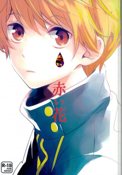 赤井花| 붉은꽃 赤井花| 붉은꽃