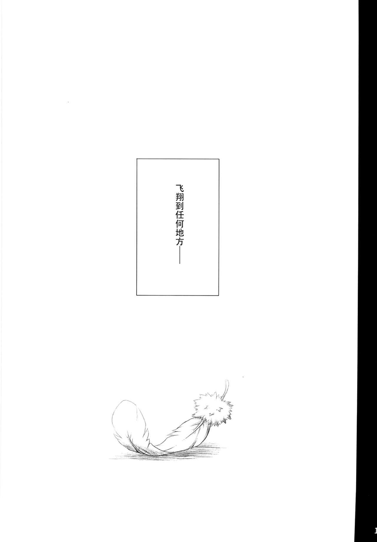 アヒルは白鳥になることを夢見ています