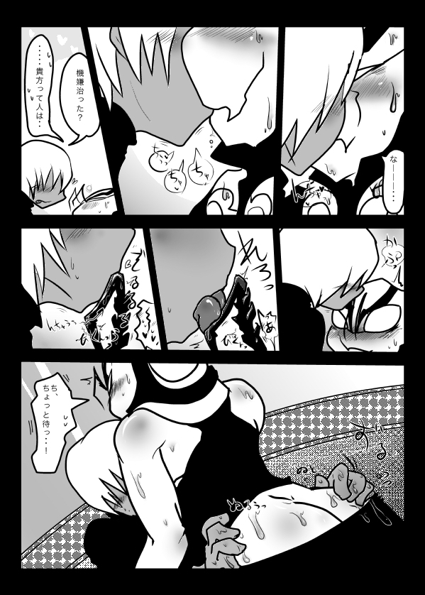 2めめのザプツェ本