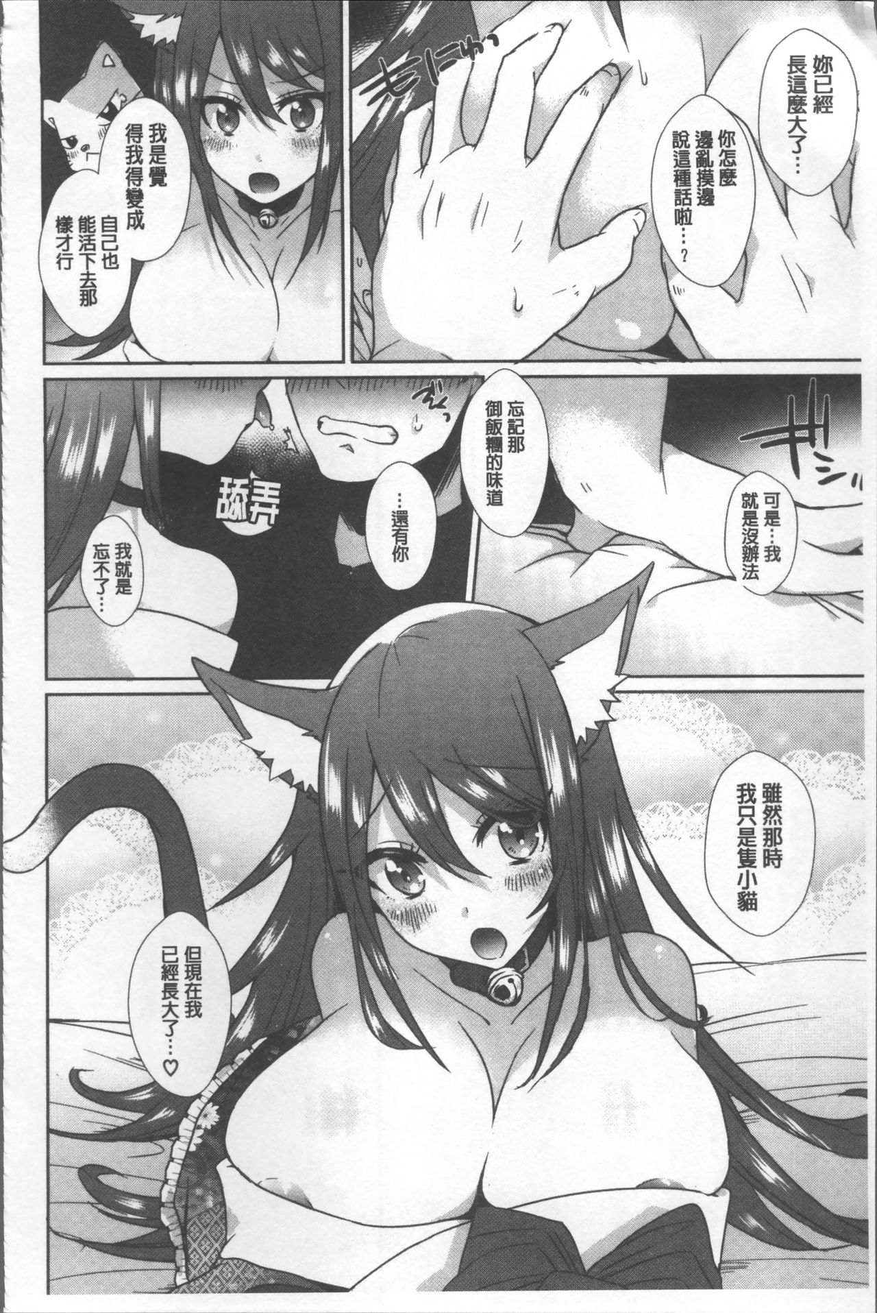 シンセンプリマン-フレッシュプリマン