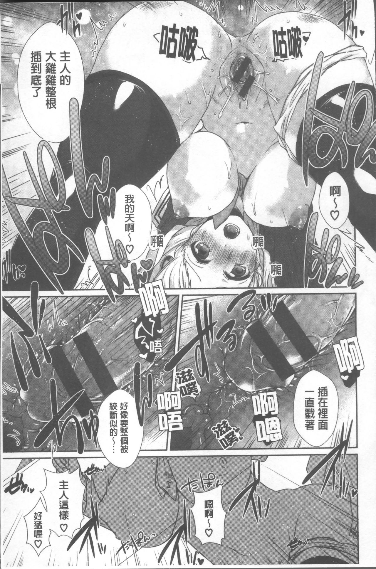 シンセンプリマン-フレッシュプリマン