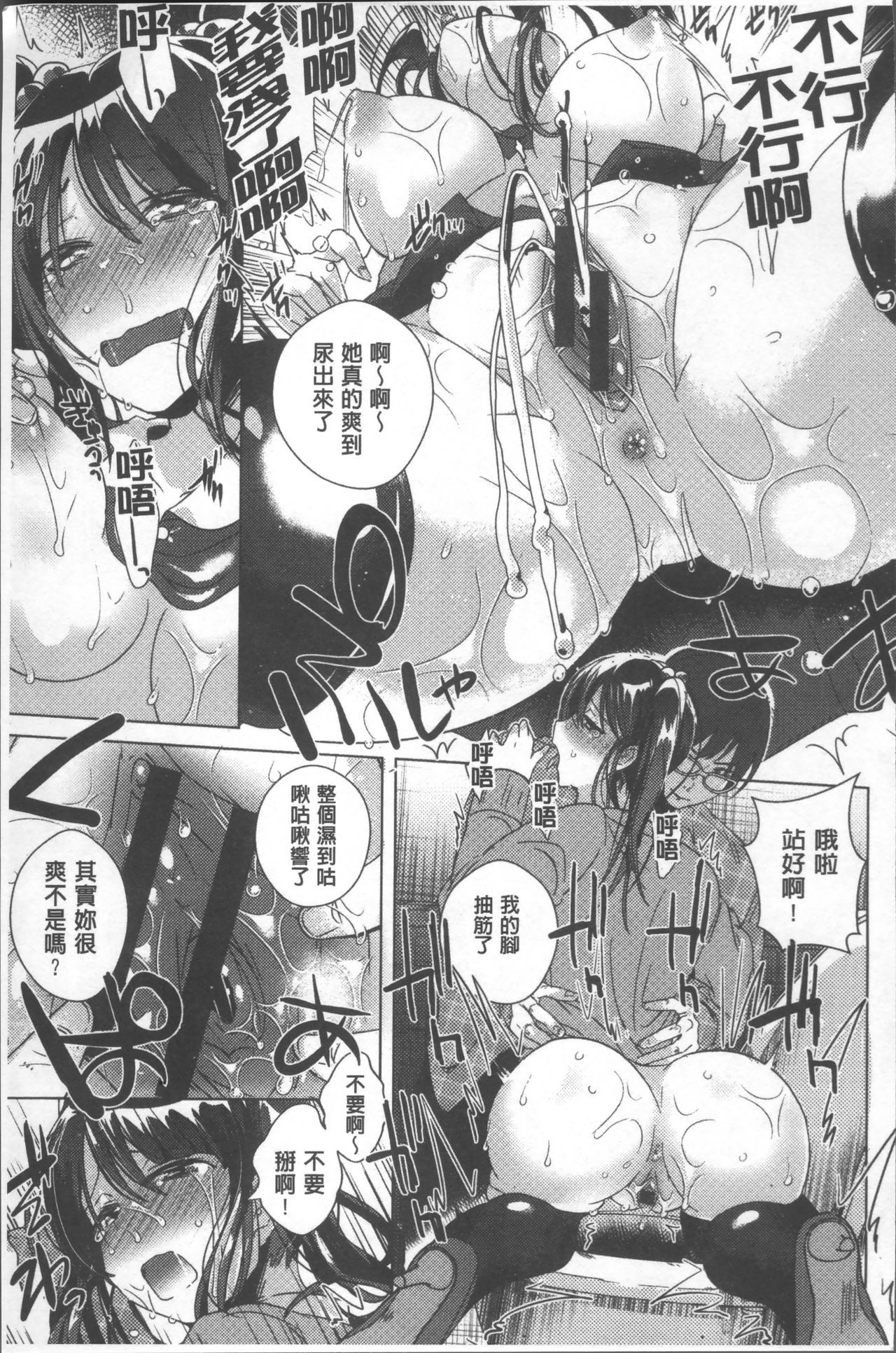 シンセンプリマン-フレッシュプリマン