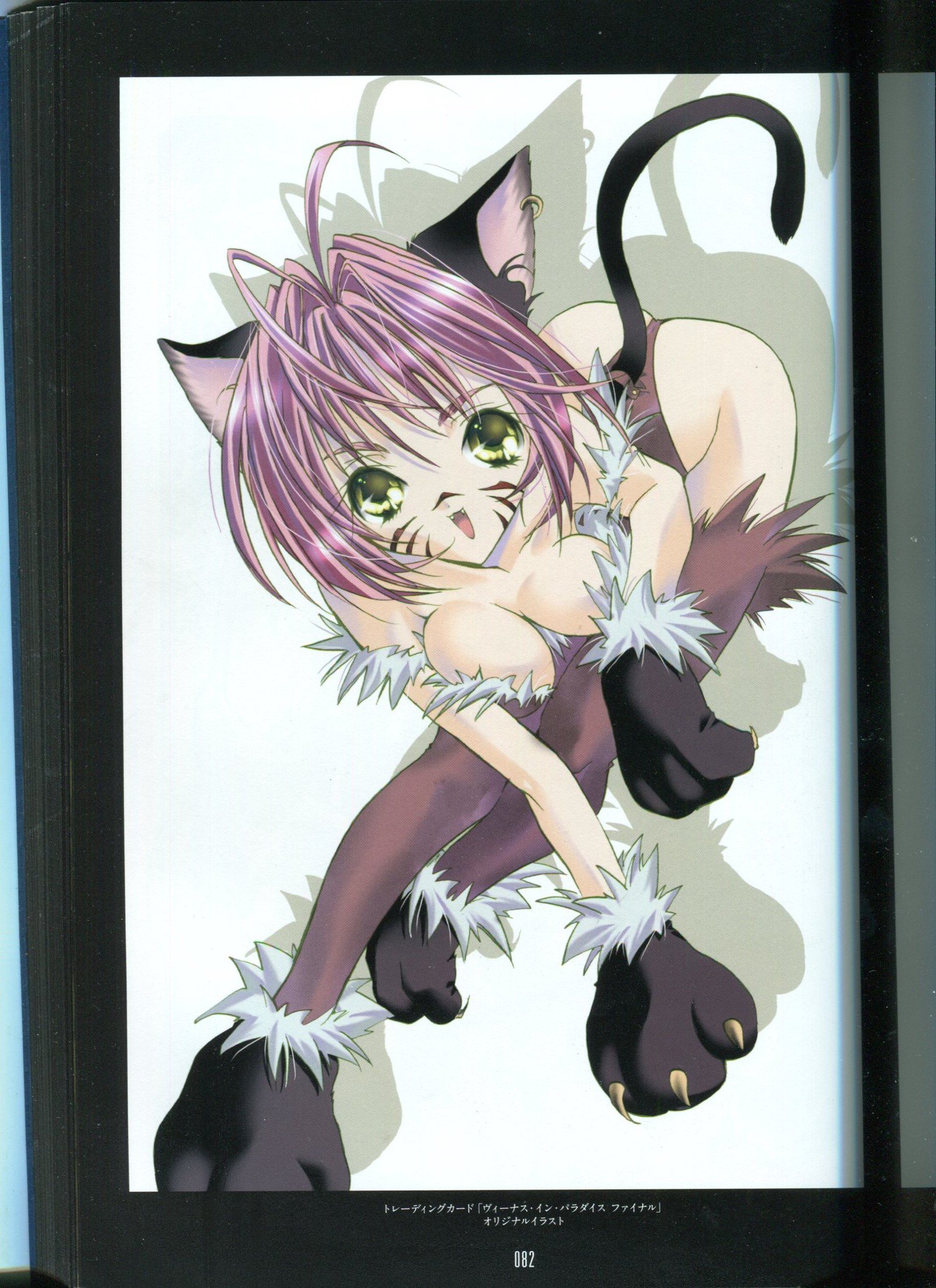 ピーチピット水蜜鏡 ピーチピット水蜜鏡