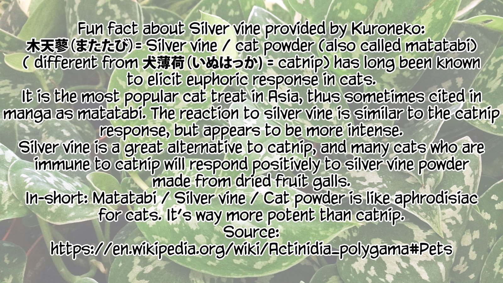 少年はニャア神に会う|少年と猫の女神Ch。 1-3