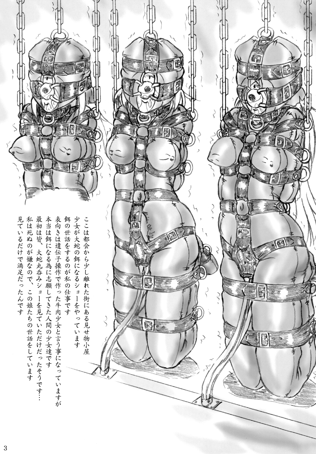 みせものこうやの少女