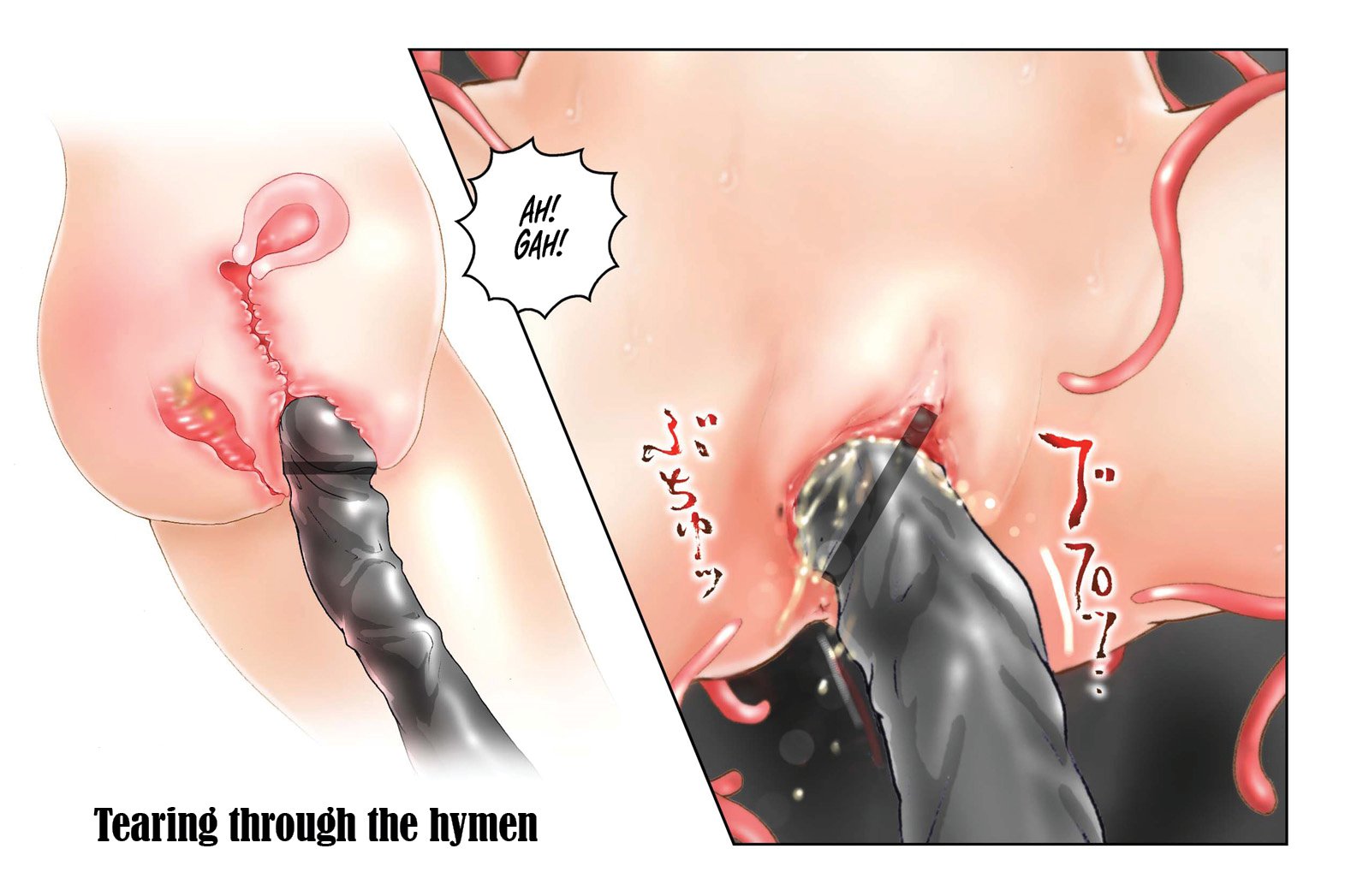 ヴァージナルミムプリンナ