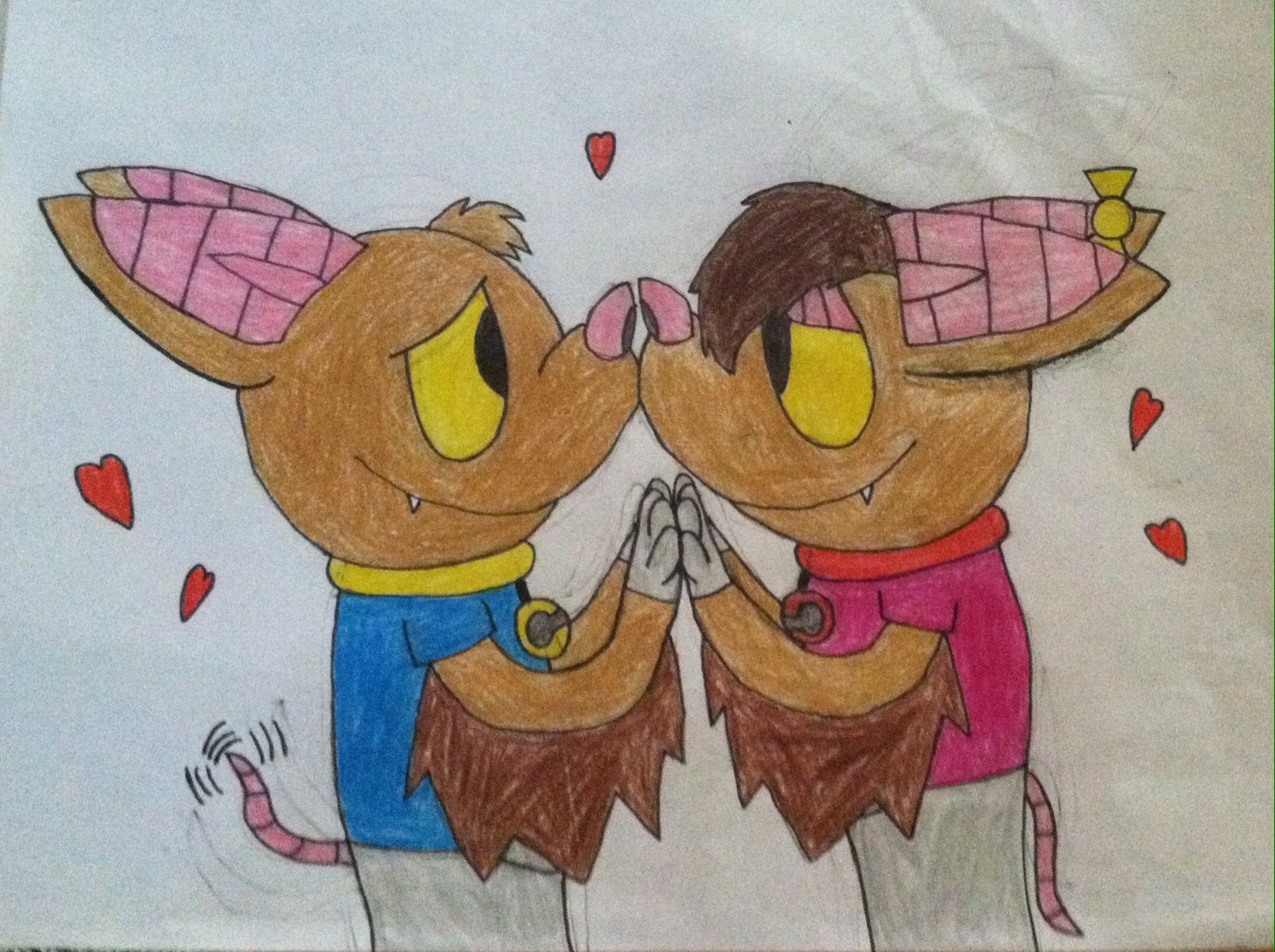 Echothefruitbat Echothefruitbat