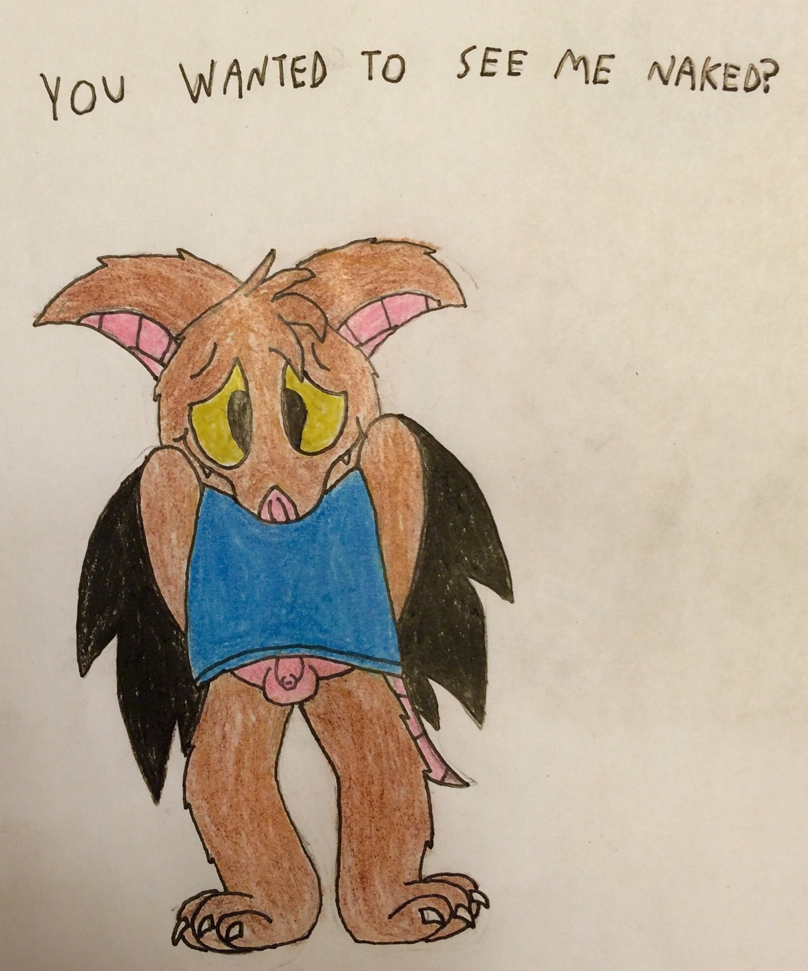 Echothefruitbat Echothefruitbat