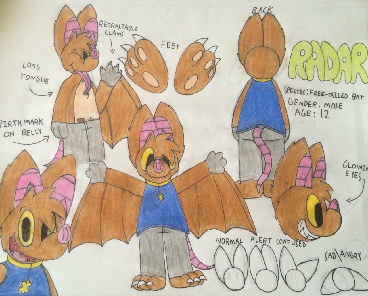 Echothefruitbat Echothefruitbat