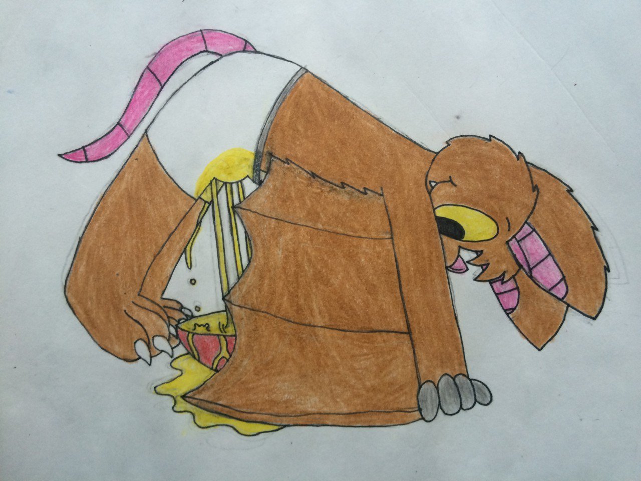 Echothefruitbat Echothefruitbat