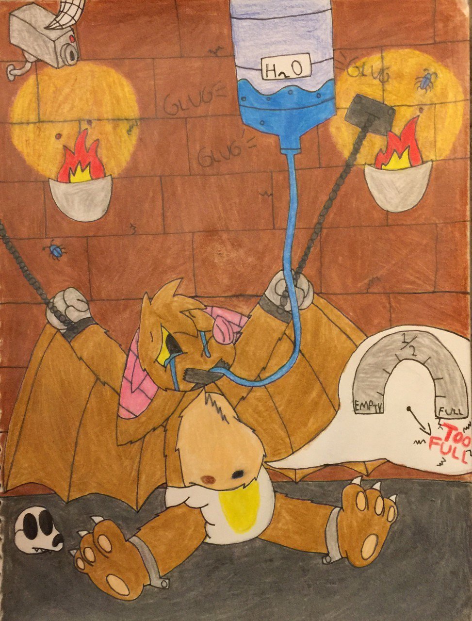 Echothefruitbat Echothefruitbat