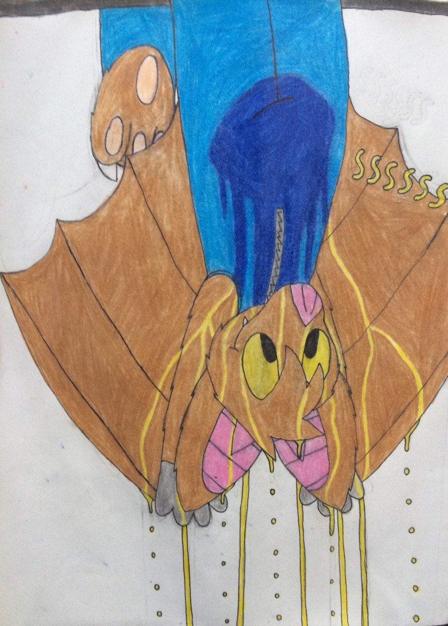 Echothefruitbat Echothefruitbat