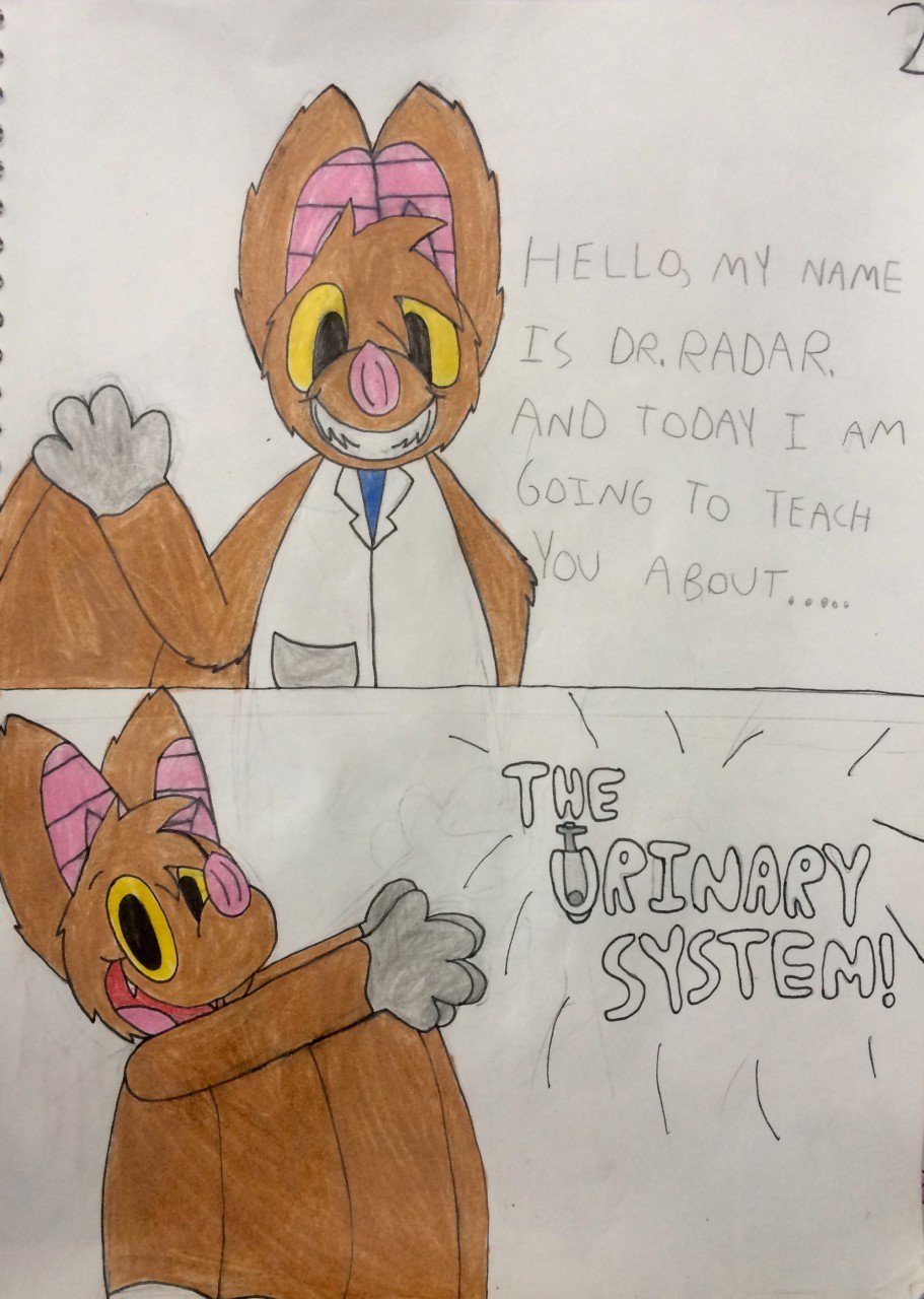 Echothefruitbat Echothefruitbat