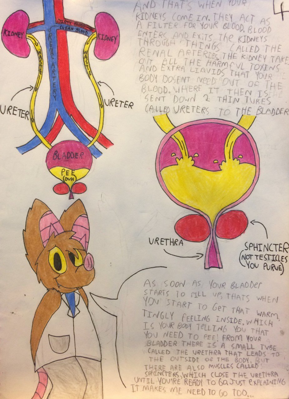 Echothefruitbat Echothefruitbat