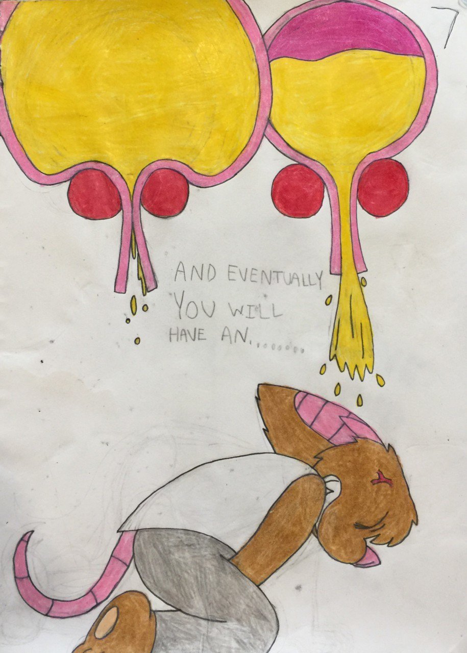 Echothefruitbat Echothefruitbat