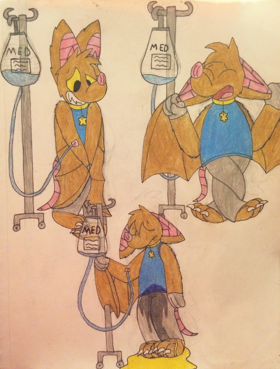 Echothefruitbat Echothefruitbat