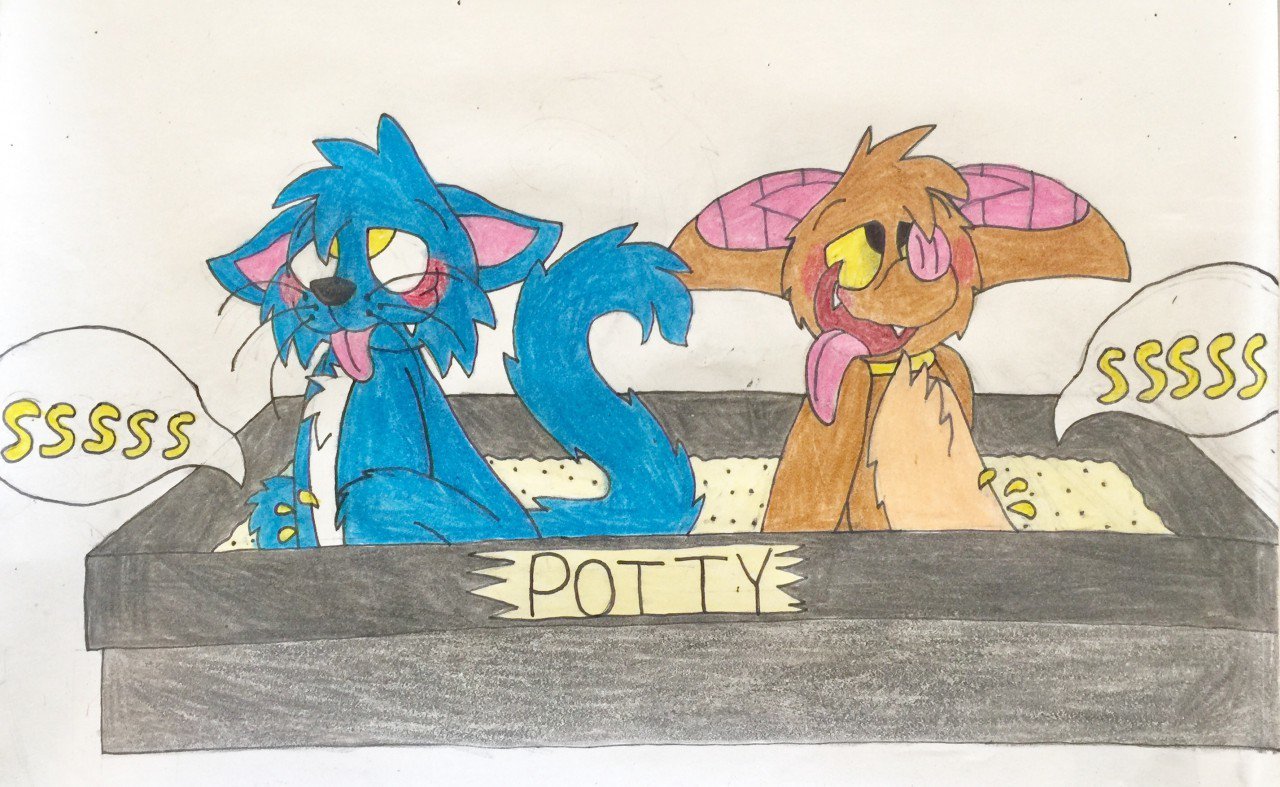 Echothefruitbat Echothefruitbat