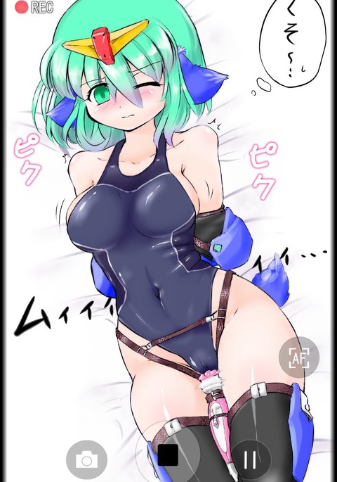 二々リツvsジオン 二々リツvsジオン
