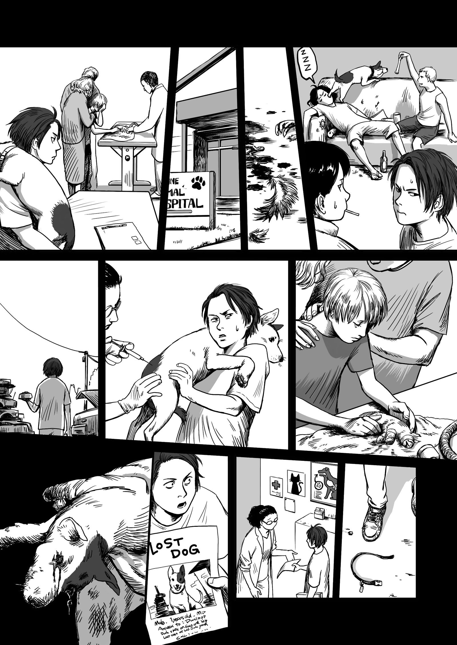 子羊に餌をやる 子羊に餌をやる