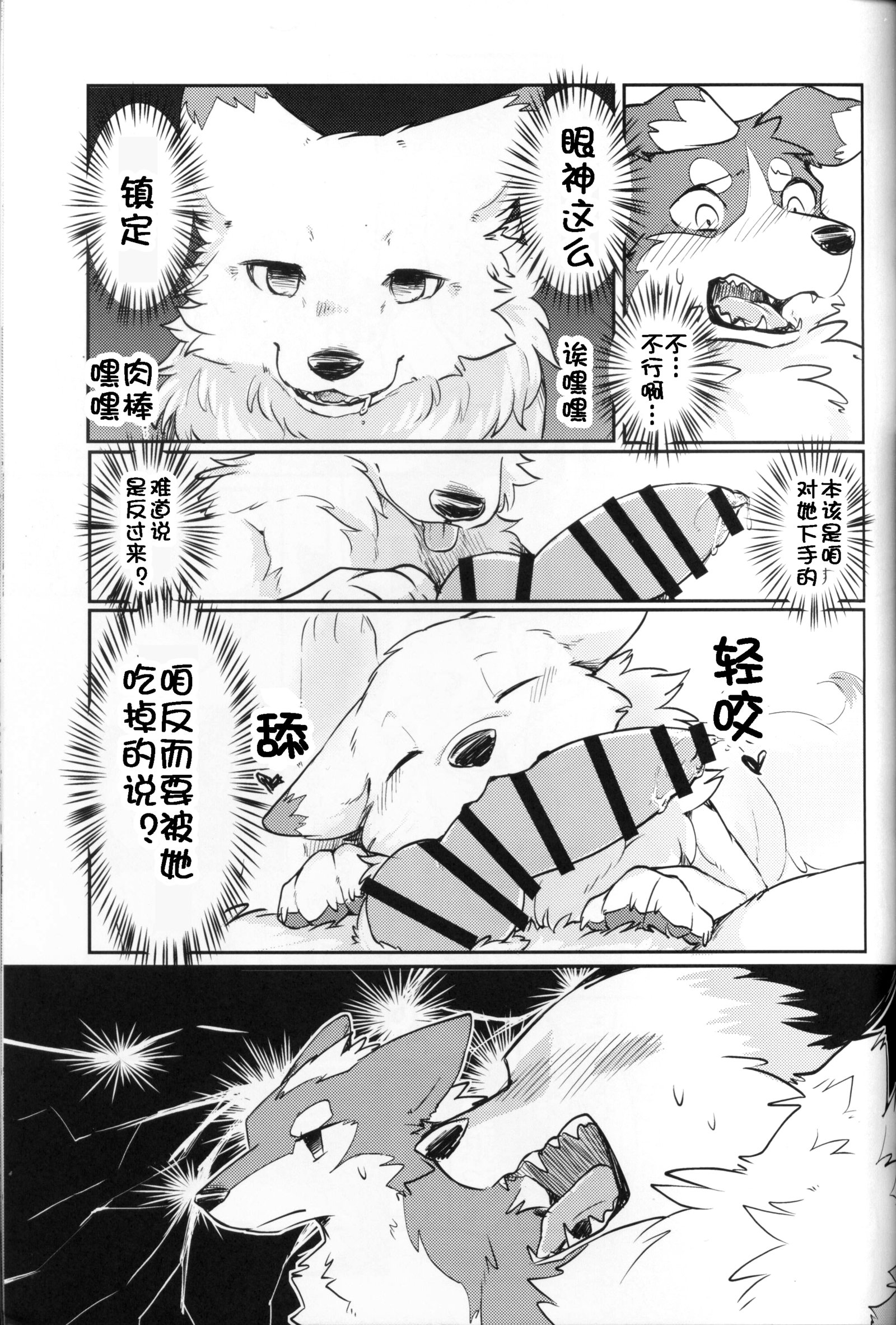 ゆめうつつラベージ|梦＆amp;亀の荒廃