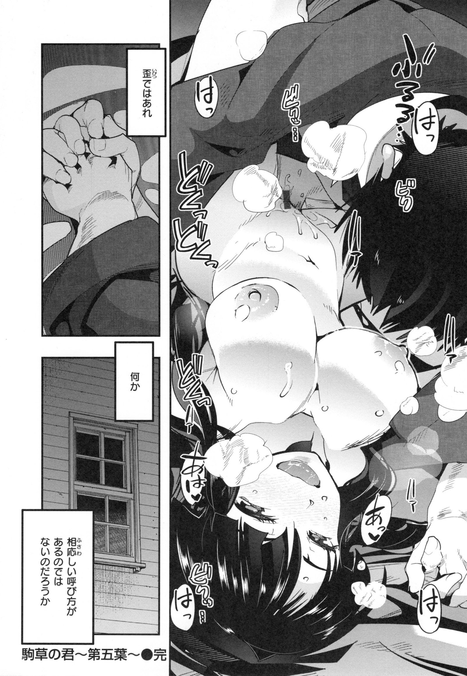 ニンフォガーデン