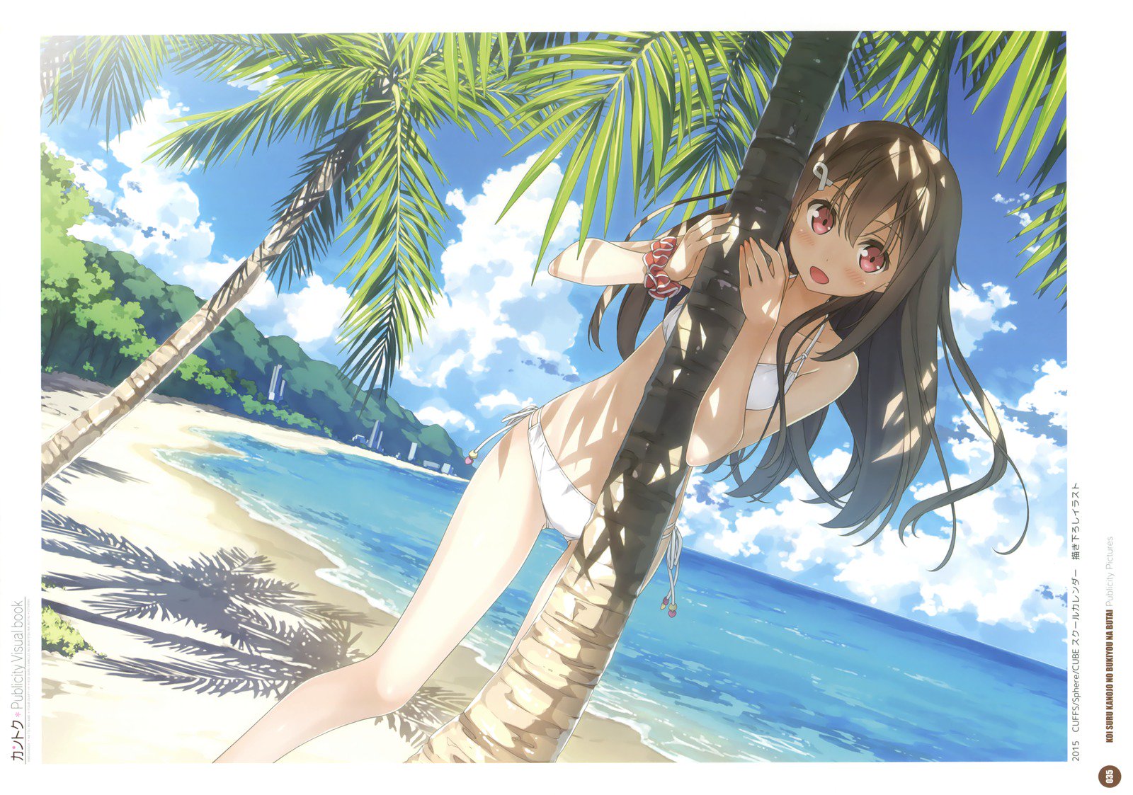 カントクパブリシティビジュアルブック