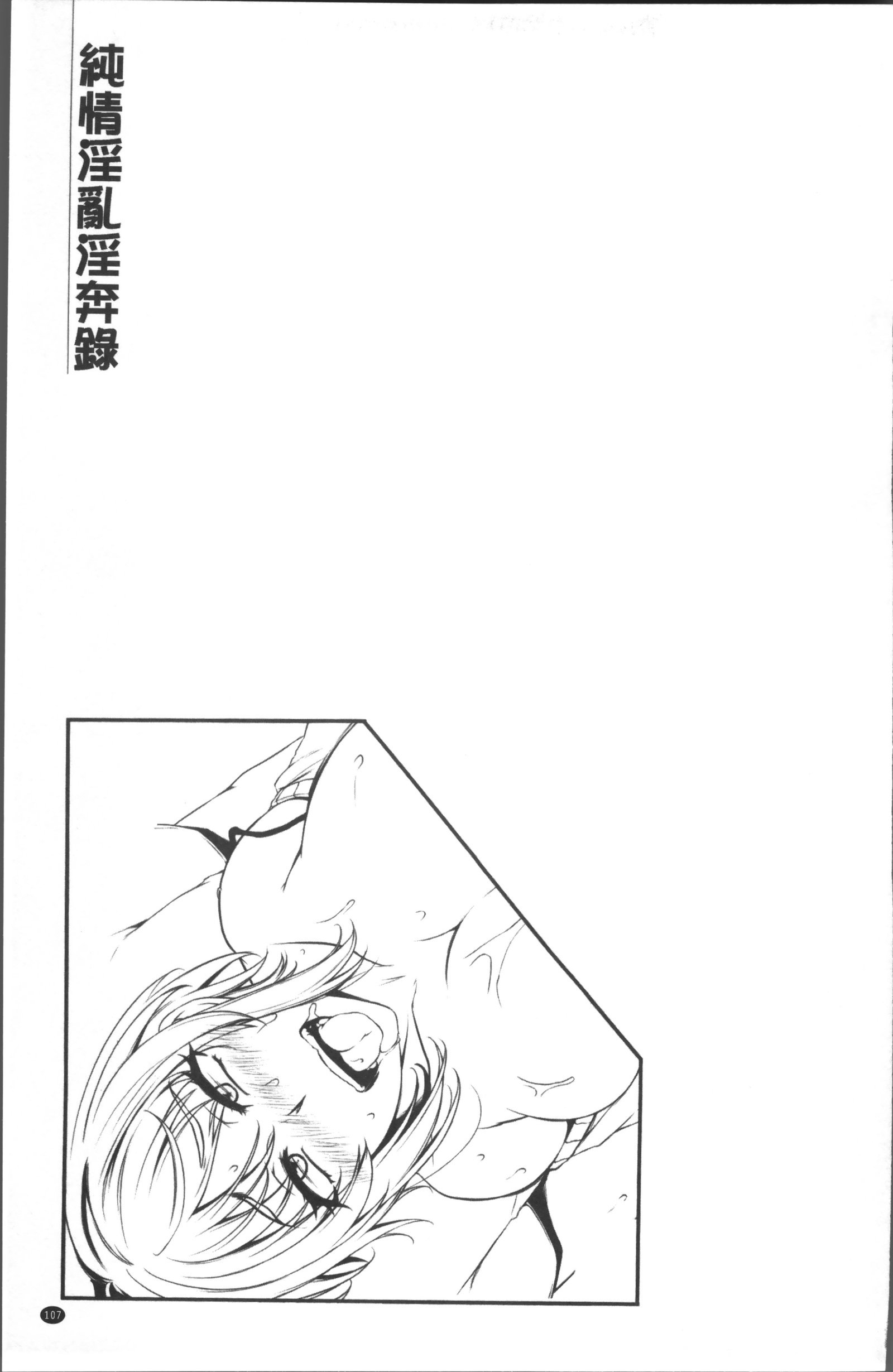 純情トライインポウロク