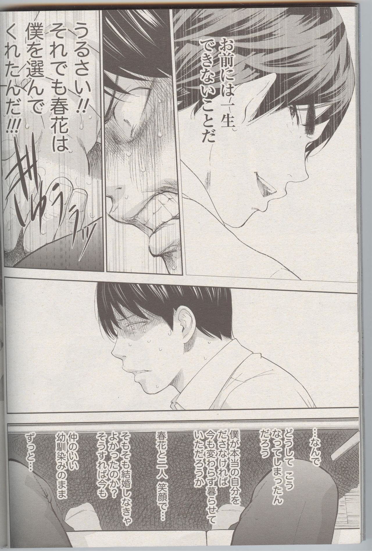 ネトラセラレCh。 25