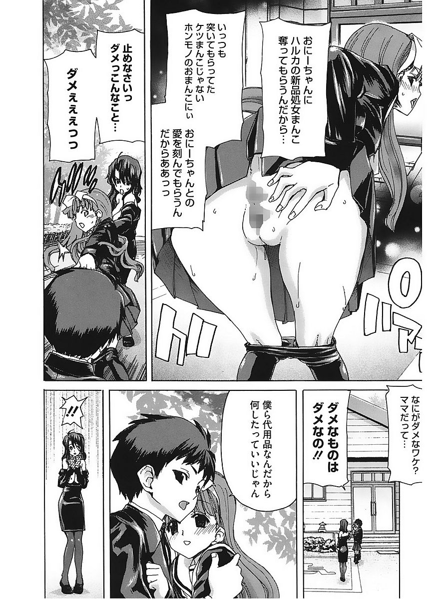 コアコレVol。 6ひとづま鶏Part2