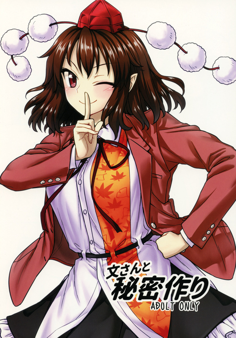 綾さんからひみつずくり 綾さんからひみつずくり