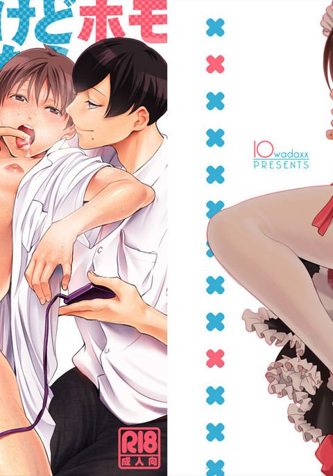 ノンケダケドホモニセマラレタラビッチニナラザルオエナカッタ! ノンケダケドホモニセマラレタラビッチニナラザルオエナカッタ!