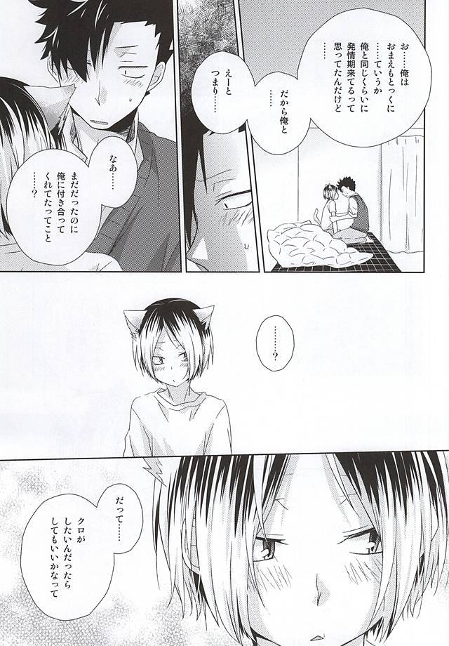 猫男一極のこうびレポート