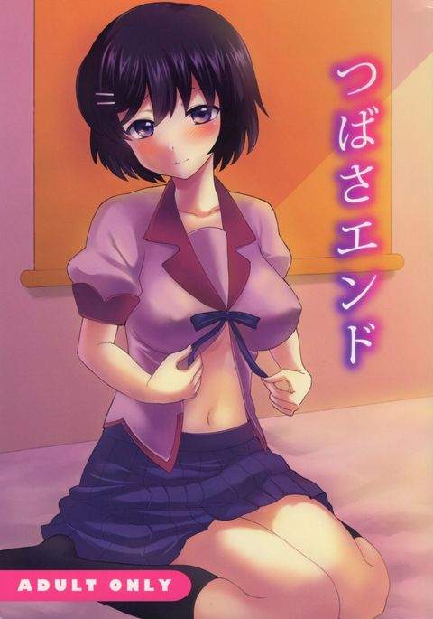 つばさ終了 つばさ終了