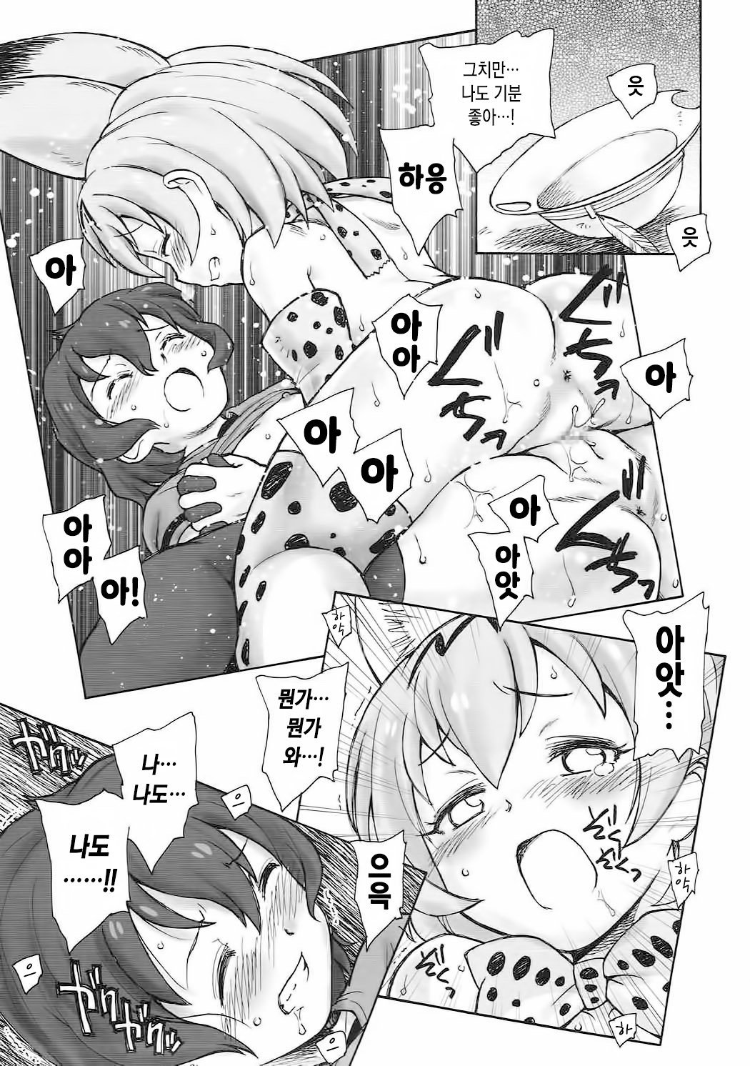 たべっこフレンズ| 타벳코프렌즈