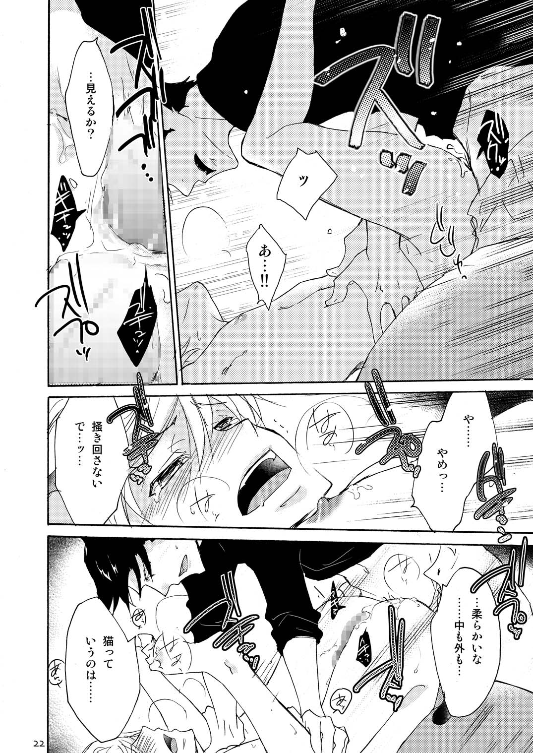 ウルフズキャットマカロン：