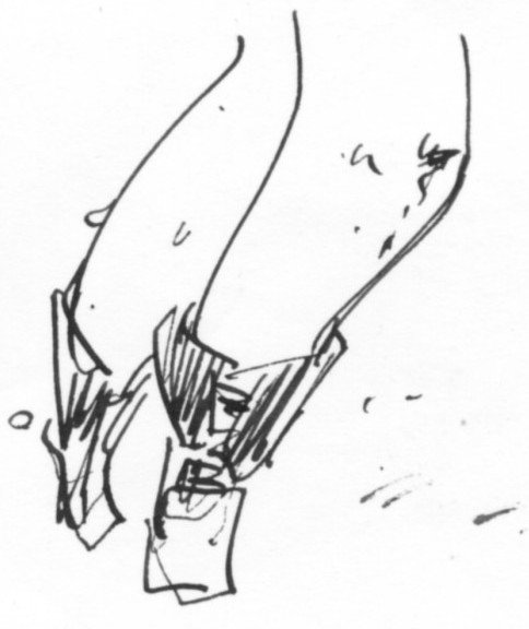 板目月5ヌプヌプのマキしよう