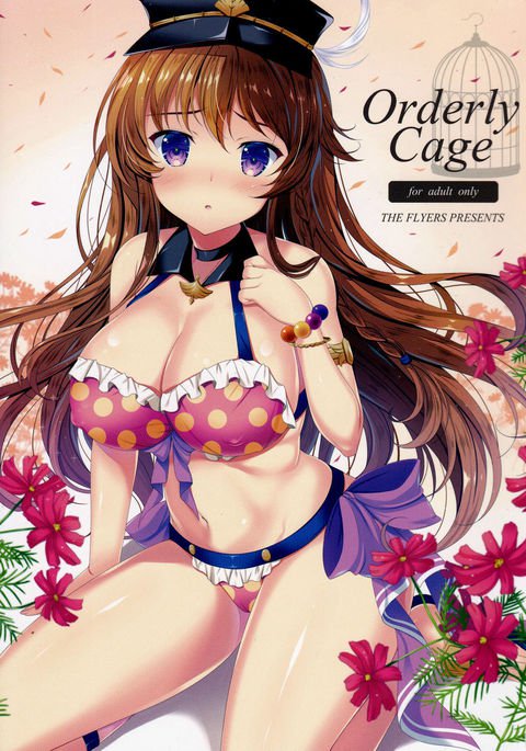 整然としたケージ 整然としたケージ