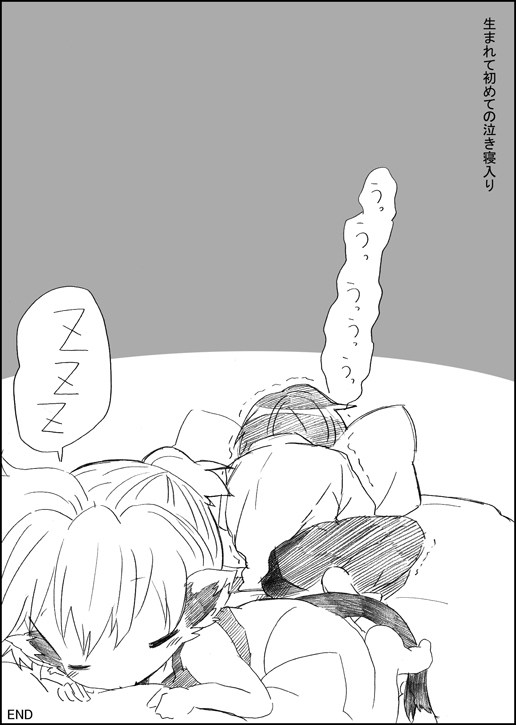 ニャンコのイル聖術