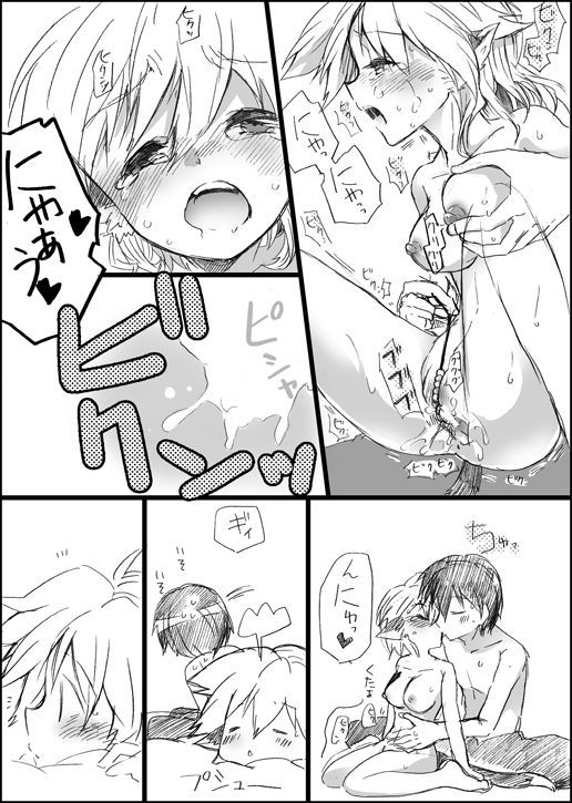 ニャンコのイル聖術