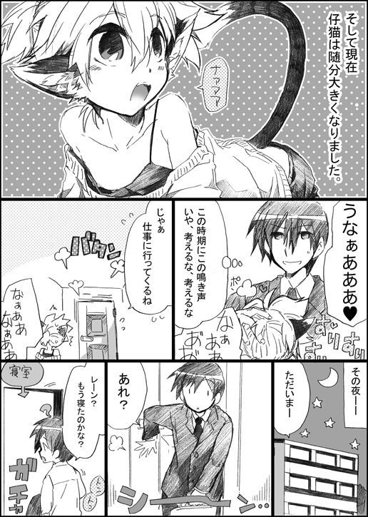 ニャンコのイル聖術