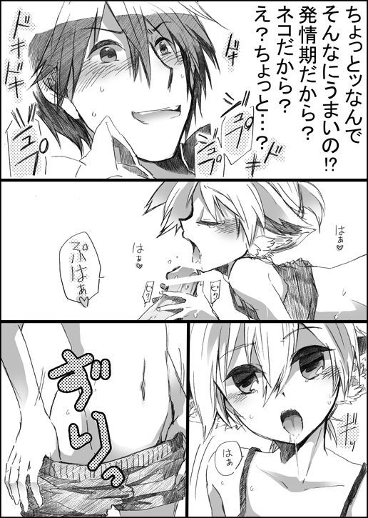 ニャンコのイル聖術