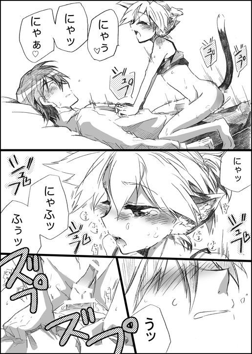 ニャンコのイル聖術